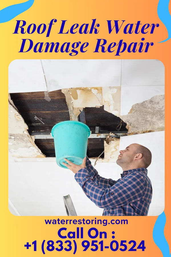 Roof Leak Water Damage Repair in North Fort Lewis, WA