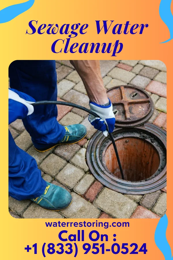 Sewage Water Cleanup in North Fort Lewis, WA