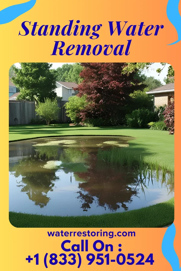Standing Water Removal in North Fort Lewis, WA